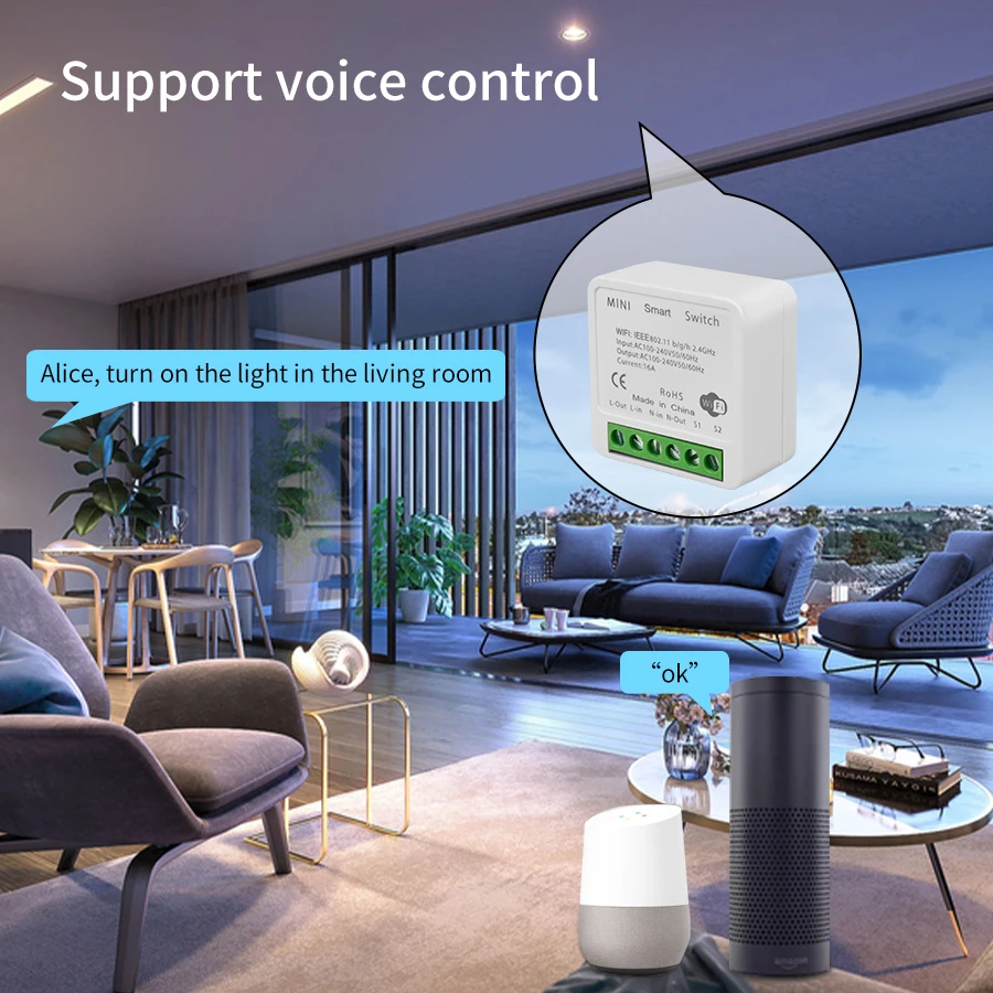 2-weg Mini DIY Slimme Schakela - Home Automation Diy recensie en prijs